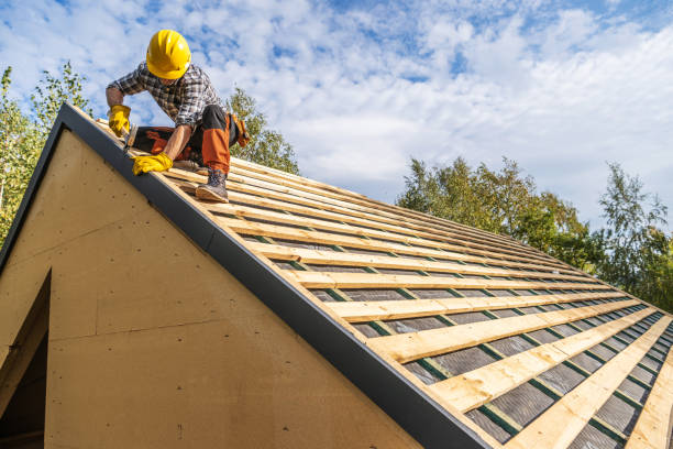 Best Roof Gutter Cleaning  in Flemington, GA